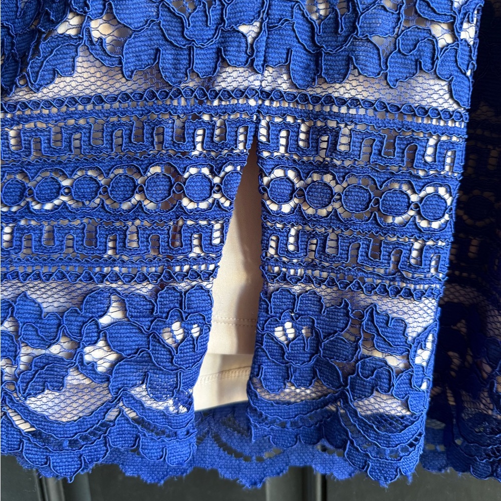 NWOT Adrianna Papell Corded Stripe Lace Sheath Dress in a royal blue 4P - Picture 10 of 13